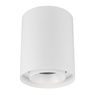 Светильник SP-FOCUS-R132-24W Day4000 (WH, 36 deg, 230V) (Arlight, IP54 Металл, 5 лет)
