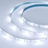 Лента светодиодная RT-5000-6060LENS-20-12V Cool 8K (10mm, 10W/m, IP20) (Arlight, Открытый)