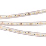 Лента светодиодная RTW 2-5000PS 12V Warm3000 2x (3528, 600 LED, LUX) (Arlight, 9.6 Вт/м, IP67)