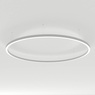 Светильник SP-LINE-HANG-ARC-O3535-D1500-102W Day4000 (WHITE, 230V) (Arlight, Металл)