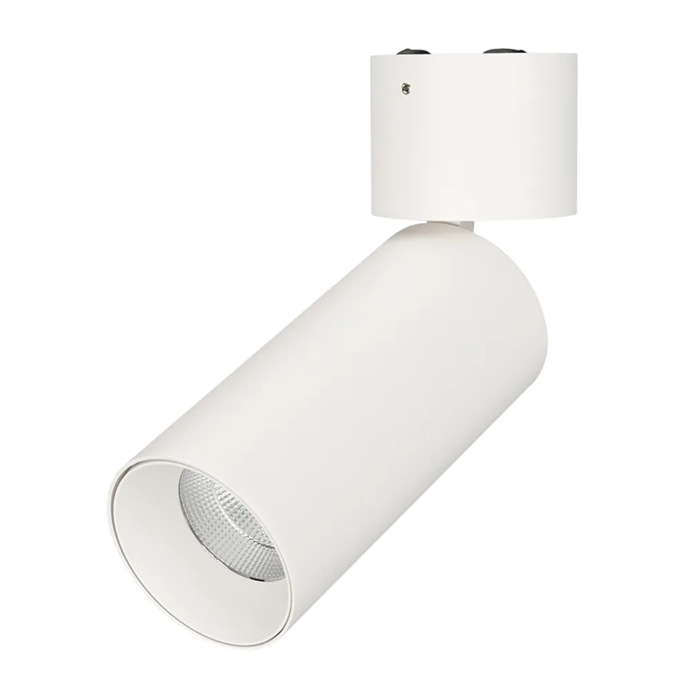 Светильник SP-POLO-SURFACE-FLAP-R65-8W White5000 (WH-WH, 40 deg) (Arlight, IP20 Металл, 3 года)