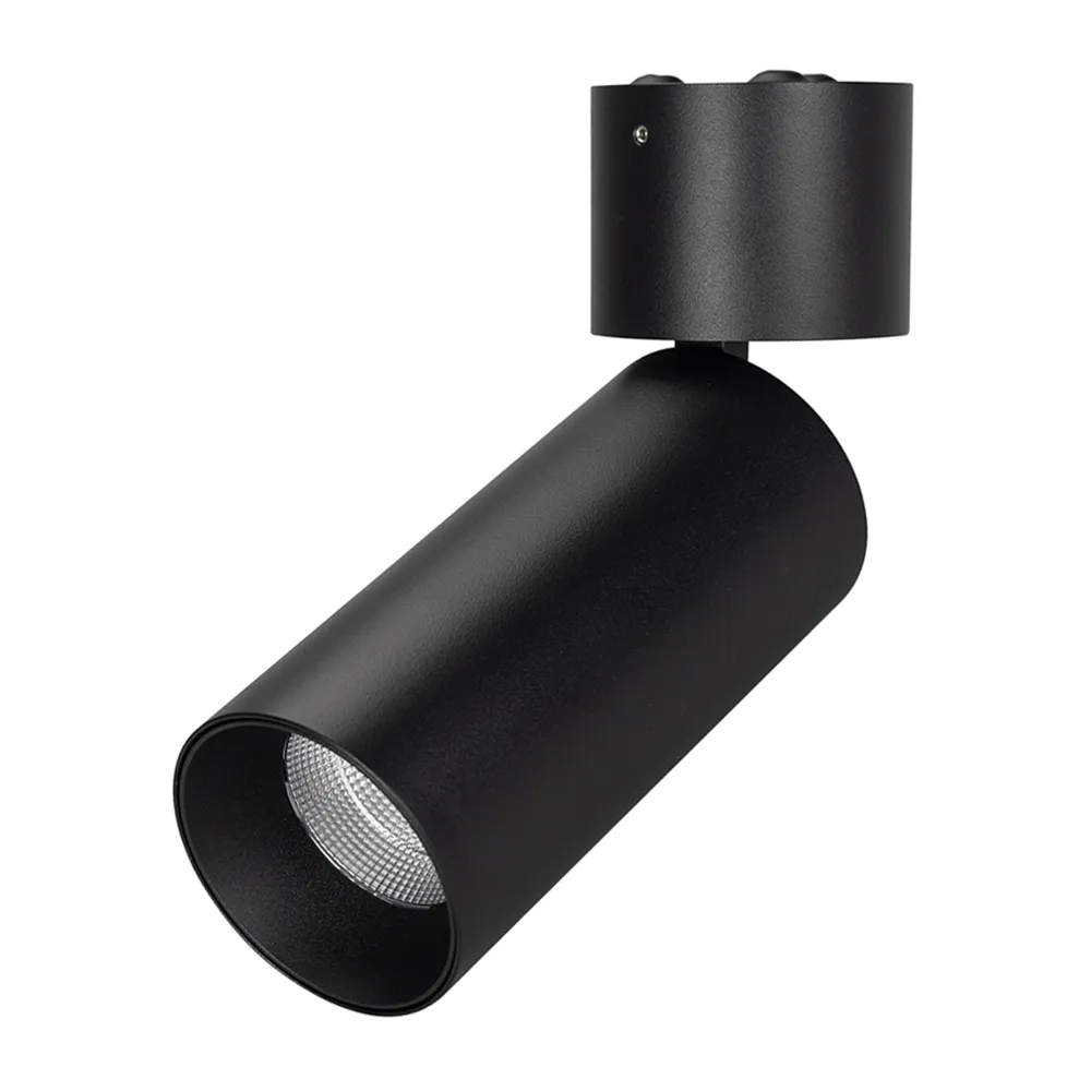Светильник SP-POLO-SURFACE-FLAP-R65-8W Day4000 (BK-BK, 40 deg) (Arlight, IP20 Металл, 5 лет) - изображение товара