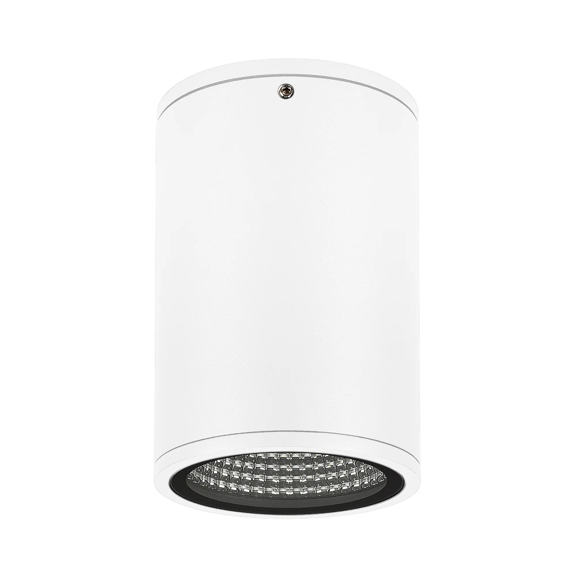 Светильник LGD-FORMA-SURFACE-R90-12W Day4000 (WH, 44 deg, 230V) (Arlight, IP54 Металл, 3 года) - изображение товара